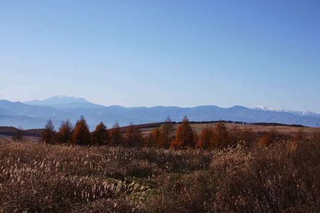 写真: 紅葉の霧ヶ峰から御嶽山　乗鞍岳(蔵出し）