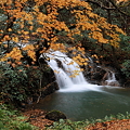 七ッ滝　6の滝(3)　落ち葉の絨毯