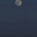 写真: 満月の前日の月(1)