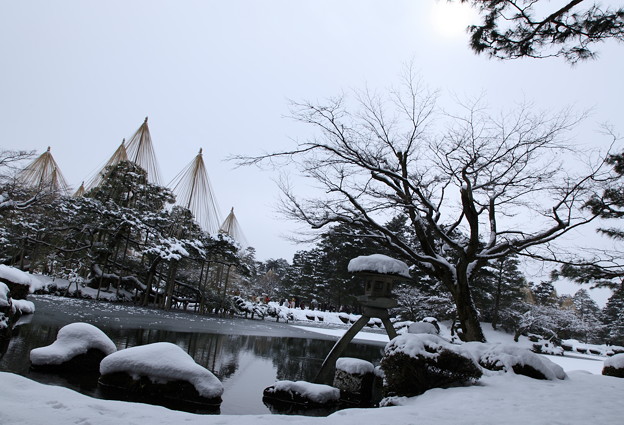 Photos: 雪の兼六園　唐崎の松と徽軫灯籠