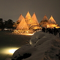 雪の兼六園　ライトアップ2012 　唐崎の松