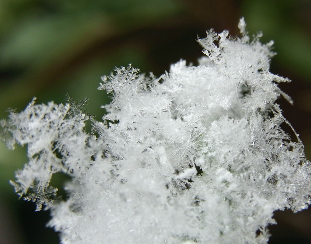 写真: キラキラ　　雪の結晶(2)