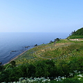 能登輪島　千枚田と日本海