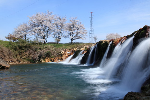 写真: 十二ヶ滝と満開の桜