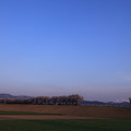 写真: 白山と夕方の月　桜並木
