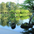 新緑の兼六園　　霞ヶ池