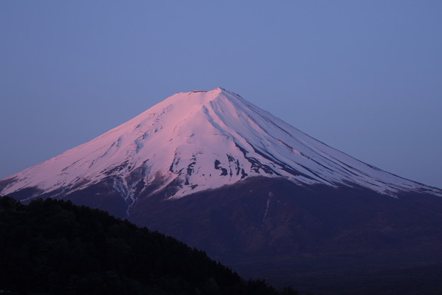 写真: 朝焼けの富士山
