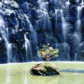 写真: 花の都公園　滝