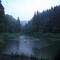 雨の玉泉湖
