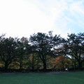 写真: 樹木公園で(2)