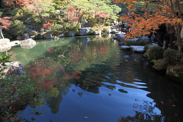 写真: 百済寺（1）　池と紅葉