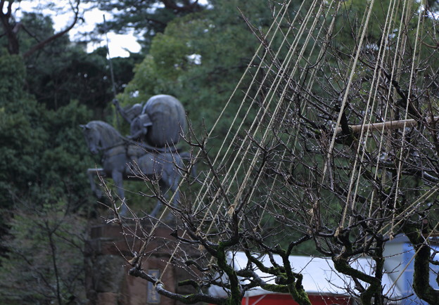 写真: 前田利家の像　　尾山神社