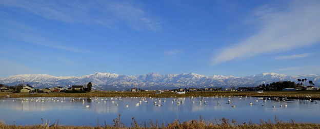 写真: 立山連峰と白鳥の湖？