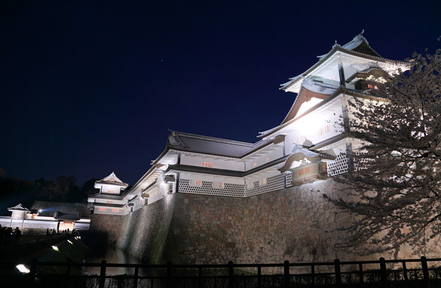 写真: 金沢城と桜(2)