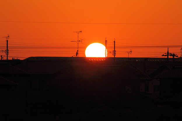 写真: 北陸新幹線に落ちる夕陽