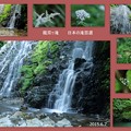 Photos: 龍双ヶ滝