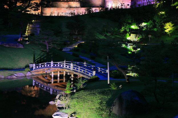 写真: 玉泉院丸庭園　秋のライトアップ(5)
