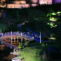 玉泉院丸庭園　秋のライトアップ(5)