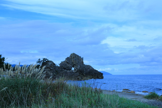 写真: 曽々木海岸　ススキと窓岩