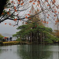 Photos: 桜の紅葉と唐崎松