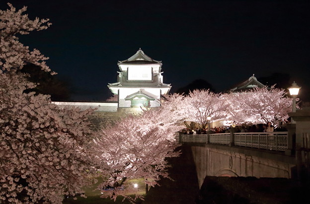 Photos: 石川門と桜