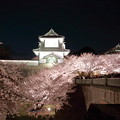 Photos: 石川門と桜