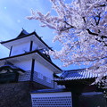 Photos: 石川門と満開の桜
