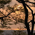 写真: 卯辰山見晴らし台から　日本海と夕日