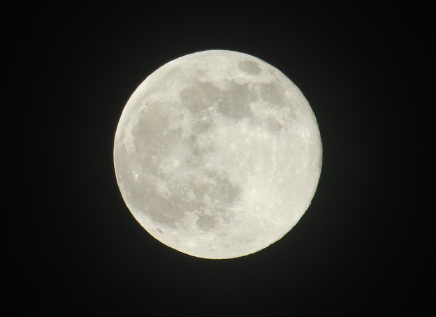 写真: 昨晩の月　一年で一番小さな月＋ピンクムーン
