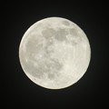 昨晩の月　一年で一番小さな月＋ピンクムーン