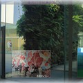 金沢２１世紀美術館（1）　 加賀友禅の壁（市民ギャラリー）