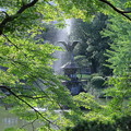 日比谷公園　鶴の噴水
