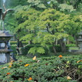 日比谷公園　落ち葉と鶴の噴水