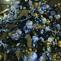 Photos: クリスマスツリー　金沢駅（1）