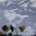 雪のキャンバス（2）