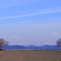 白山と桜並木　　飛行機雲