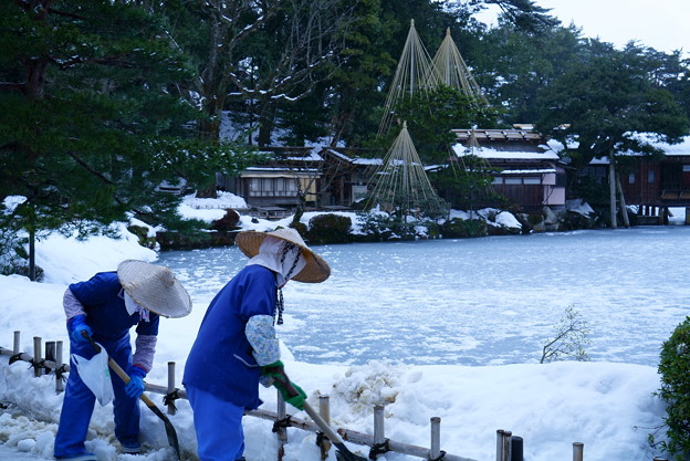 Photos: 兼六園  除雪