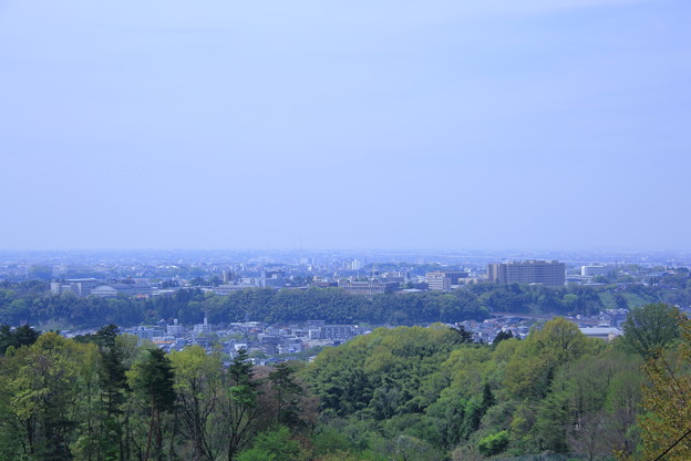 写真: 奥卯辰山健民公園から眺望