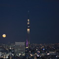 写真: 東京スカイツリーと満月　月の出（1）