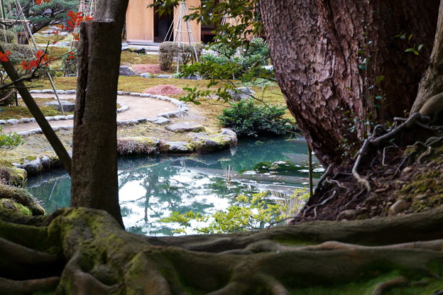 Photos: 兼六園　時雨亭の池