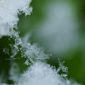 Photos: 雪の結晶