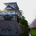 金沢城　菱櫓とお堀の桜