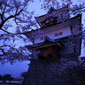 金沢城　菱櫓と桜　観桜期ライトアップ