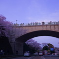 Photos: 夕暮れの石川橋