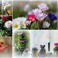 Photos: Mary Christmas