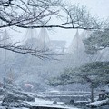Photos: 兼六園　雪景色(2)