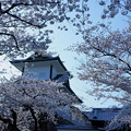 石川門と満開の桜（1）
