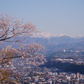 卯辰山見晴台から　桜と山並み