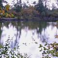 池の紅葉（2）
