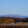 Photos: 晩秋の木場潟から　冠雪の白山と紅葉